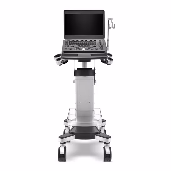 Farbdoppler-Ultraschallsystem Hy-C300